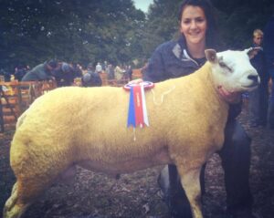 Bowes 2016 - Texel tup winning overall champion