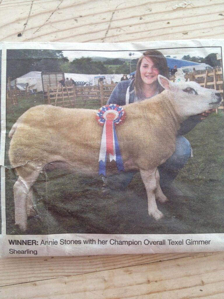 Reeth 2013 - Texel shearling winning champion texel.