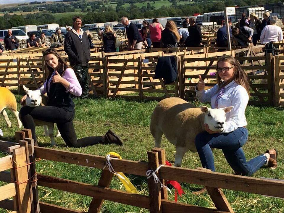 Successful day at Wensleydale Show coming home with three 1sts a 2nd and two 3rds and overall champion texel with a gimmer shearling!
