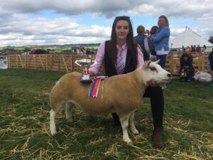 Successful day at Wensleydale Show coming home with three 1sts a 2nd and two 3rds and overall champion texel with a gimmer shearling!