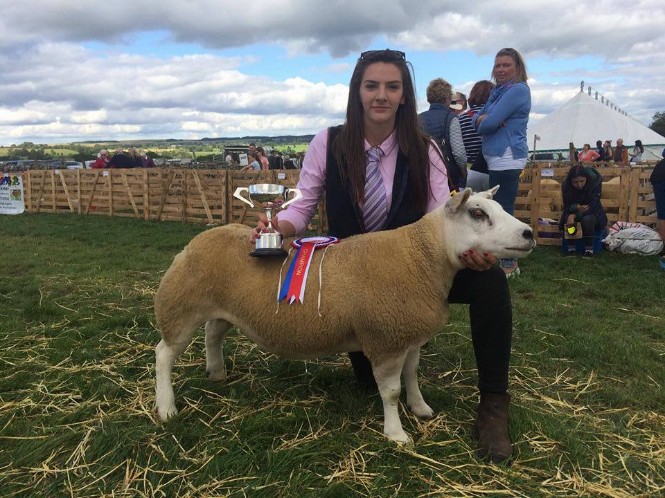 Successful day at Wensleydale Show coming home with three 1sts a 2nd and two 3rds and overall champion texel with a gimmer shearling!